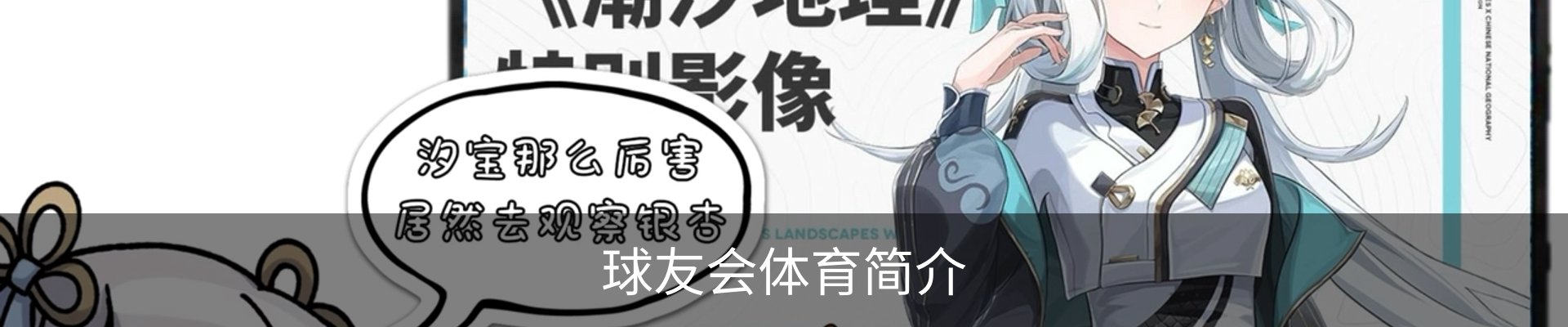 球友会体育简介